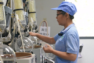 マラリア治療の中医薬材料、中国とアフリカの「命の懸け橋」に