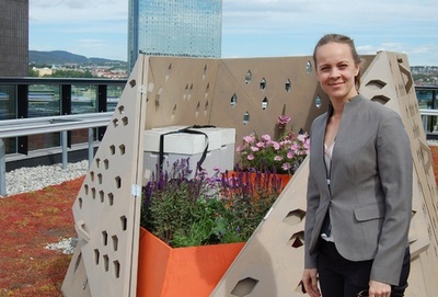 都会のハチを守れ！ノルウェーで「ビーハイウエー」プロジェクト進行中