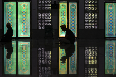 【今日の1枚】距離を置き、心静かに