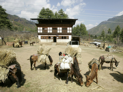 「国民総幸福量」の国ブータン、農産物の100％オーガニック化を目指す