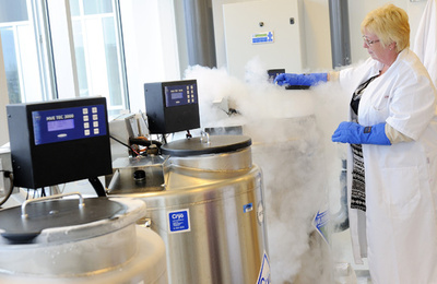 米企業の「卵子凍結補助」に賛否両論