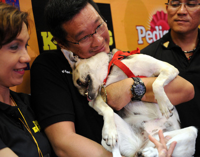 フィリピンの「英雄犬」永眠 少女2人守り顔面失う