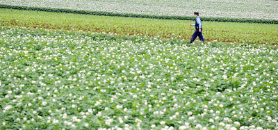 洞爺湖サミット、警官2万人が開催地を警備 都内も警戒態勢