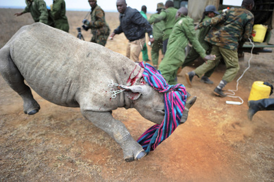 【特集】AFPのベストショット：8月26日～9月1日