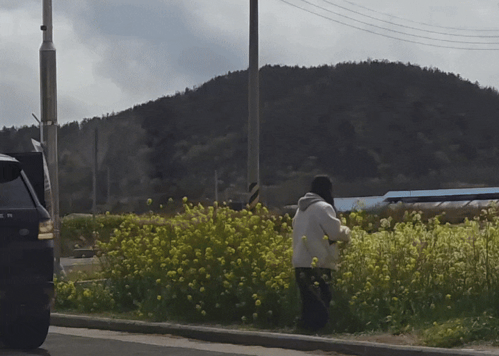 SNS動画のキャプチャー(c)news1