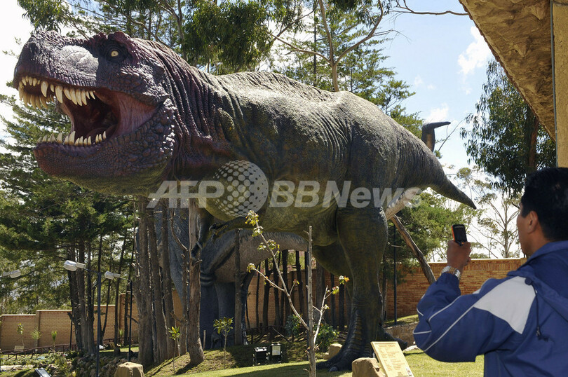 恐竜300種の足跡が約5000個、ボリビアの白亜紀公園