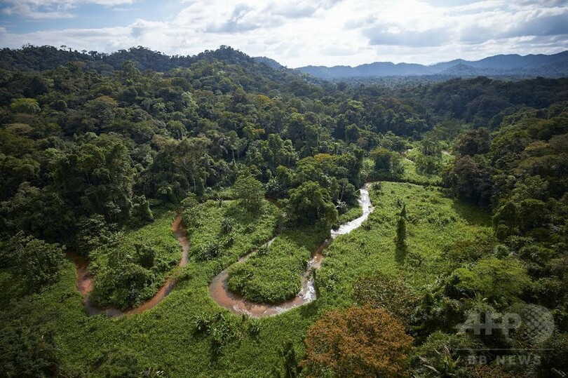失われた「猿神の都市」、ホンジュラスの密林で発見