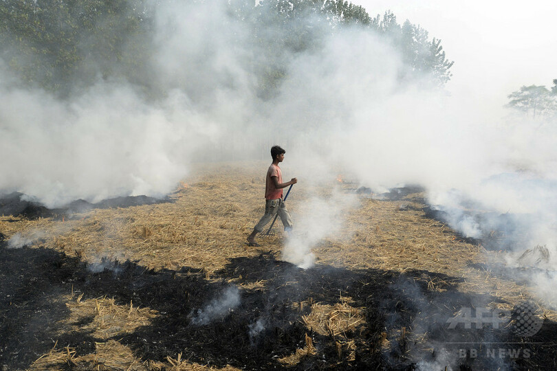 「まるでガス室」インド・デリー首都圏の大気汚染