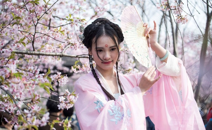 上海の公園に春 桜が開花 コスプレ撮影も 中国 写真12枚 国際ニュース Afpbb News