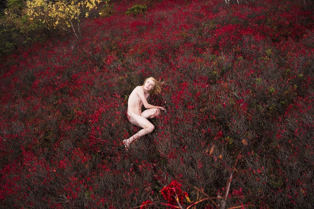 ライアン・マッギンレー国内美術館初大規模個展、16日から