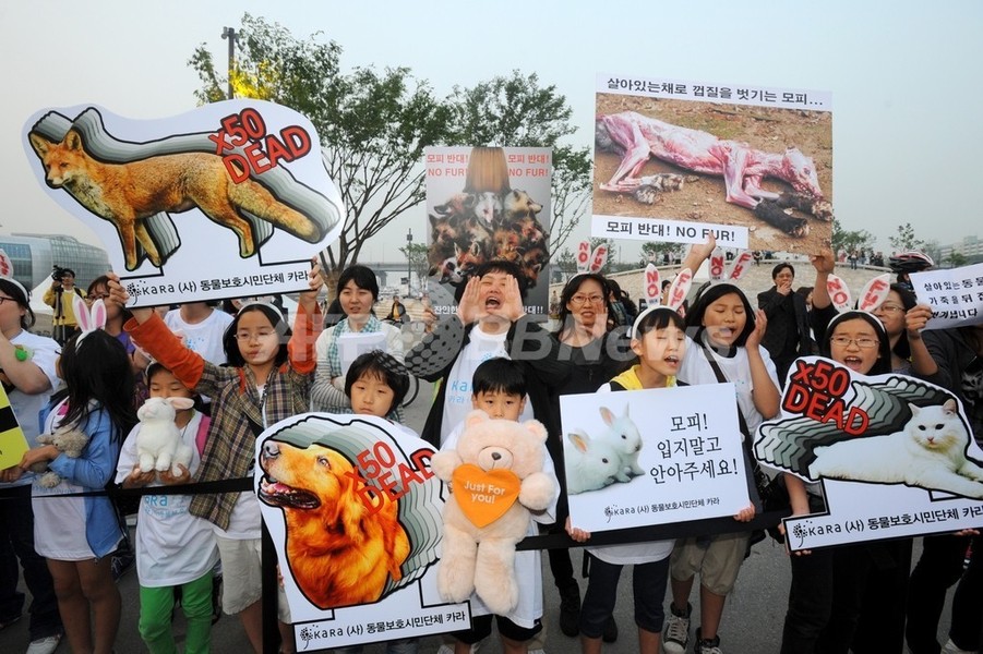 韓国でフェンディがショー、動物愛護団体が抗議