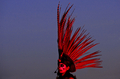 メキシコの首都メキシコ市（Mexico City）で「死者の日（Day of the Dead）」に、ソカロ広場（Zocalo Square）でアステカ王国時代の衣装で死者の踊りを披露する男性（2008年10月30日撮影）。(c)AFP/Luis Acosta