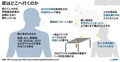 咳とくしゃみについてまとめた図。呼吸器系疾患の拡散に大きくかかわっている。(c)AFP