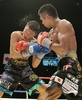 ボクシング、WBA世界スーパーフェザー級タイトルマッチ12回戦。金子大樹（Daiki Kaneko、左）と対戦する内山高志（Takashi Uchiyama、2013年12月31日撮影）。(c)AFP/Toru YAMANAKA