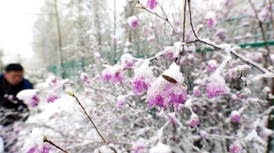 黒竜江省漠河市、5月に大雪 中国 