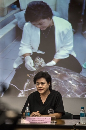 大量の硬貨のみ込んだウミガメ「貯金箱」が死ぬ、タイ