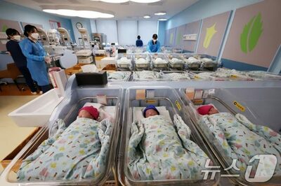 韓国の出生率0.80人に回復…30代前半「主導」、構造改革が急務