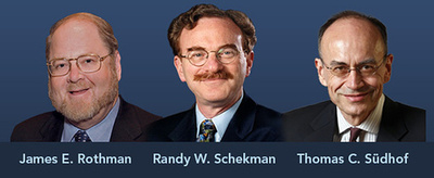 ノーベル医学生理学賞、ロスマン氏ら3氏に 細胞内輸送の研究で