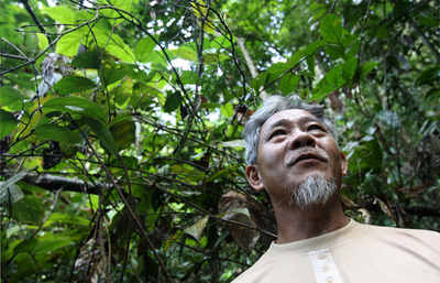 ボルネオ島、風前のともしびのペナン人文化を守る孤独な戦い