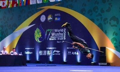 第17回世界武術選手権大会がブラジルで開催 70カ国1000人が参加