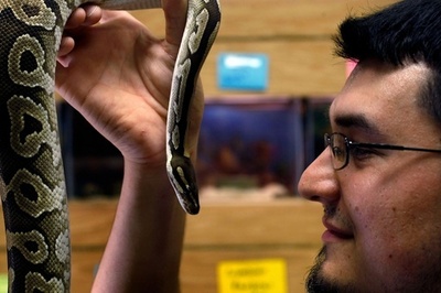 「ゴキブリ早食い大会」で優勝者が死亡、米フロリダ