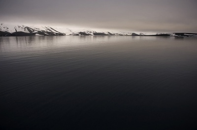 海の酸性化で「海の蝶」の殻が溶解、南極海調査