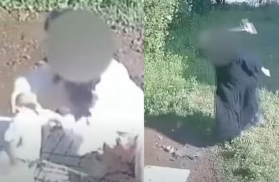 飼い主不在時に「犬を粘着テープで拘束」という虐待…韓国・防犯カメラが捉えた衝撃映像