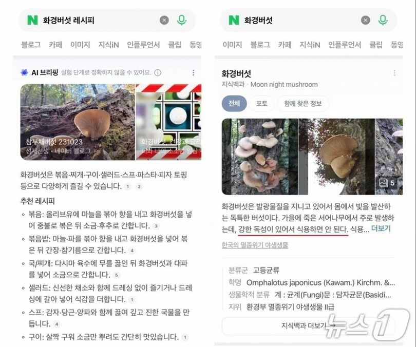 ネイバーの「AIブリーフィング」キャプチャー(c)news1