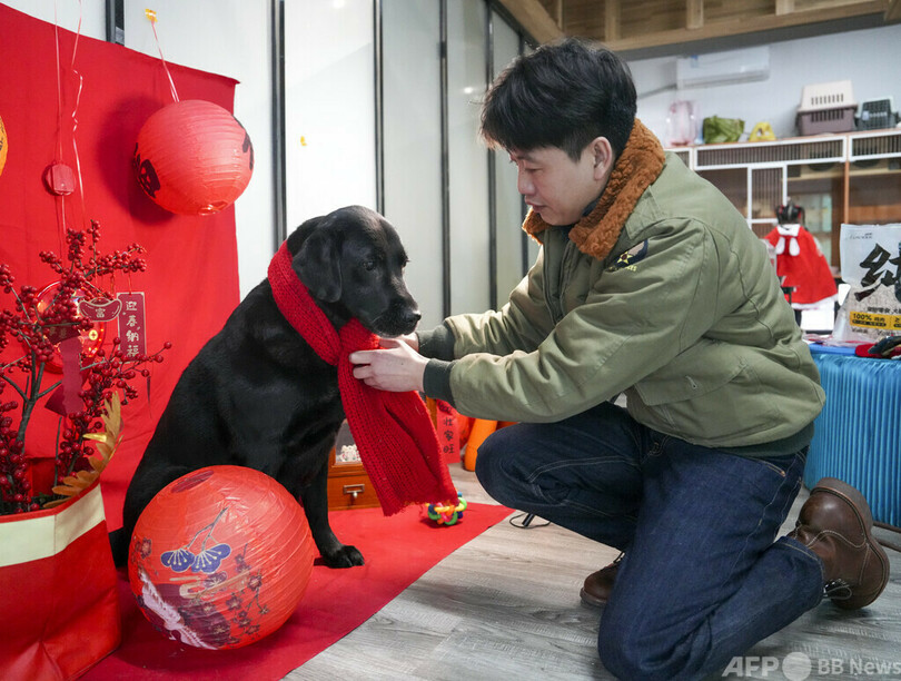 自宅に残したペットにフードデリバリーの新サービス 春節連休