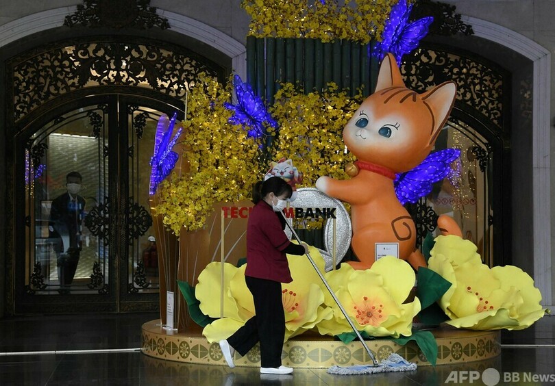 ベトナムは「ねこ年」 旧正月の準備着々