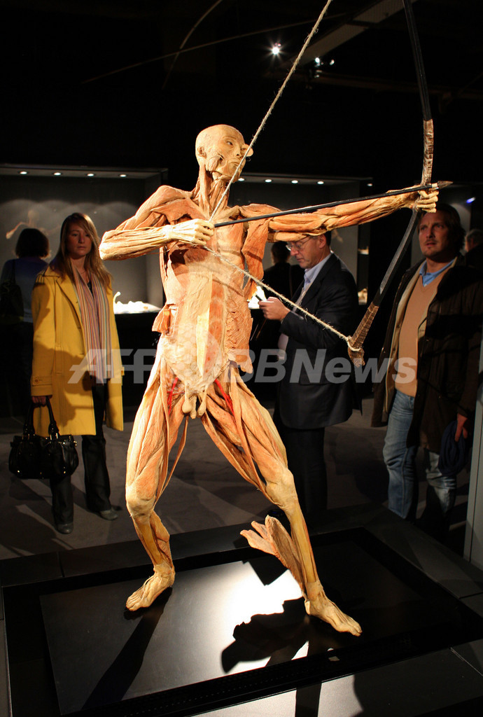 人体標本展、パリで開幕 写真6枚 国際ニュース：AFPBB News