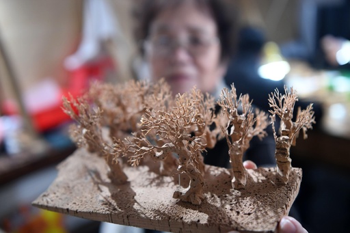 福州人が生み出す「コルク画」の世界 写真9枚 国際ニュース：AFPBB News