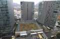 建て替えのため更地となっている韓国ソウルの日本大使館の敷地（2019年4月10日撮影）。(c) Jung Yeon-je / AFP