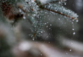 米コロラド州ボルダーに近いロッキー山脈の麓で観測された雪（2020年9月8日撮影）。(c)Eli IMADALI / AFP