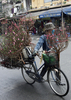 2008年1月15日、ベトナムの首都ハノイ（Hanoi）の繁華街で、桃の花を自転車で行商する売り子。(c)AFP/HOANG DINH Nam