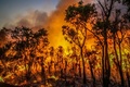 オーストラリア・マーガレットリバー近郊で発生した山火事。消防当局提供（2021年12月8日撮影、同10日入手）。(c)AFP PHOTO / SEAN BLOCKSIDGE / WESTERN AUSTRALIA DEPARTMENT OF FIRE AND EMERGENCY SERVICES