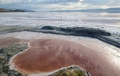 米ユタ州にあるグレートソルト湖で、水位が低下して塩分濃度が高まり水がピンク色になった場所（2024年9月9日撮影）。(c)Frederic J. BROWN / AFP