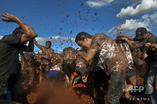 人々の「赤き」戦い？ コロンビア恒例トマト投げ祭り 写真12枚 国際