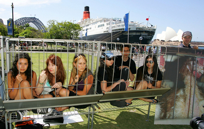 「鶏の気持ちになってみたら」？動物愛護団体が「人間の檻」キャンペーン - オーストラリア