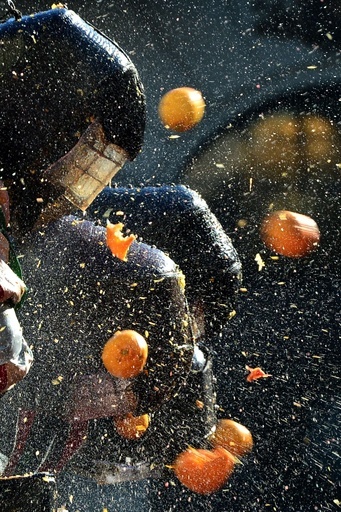 今年も開催、イタリア名物「オレンジ合戦」