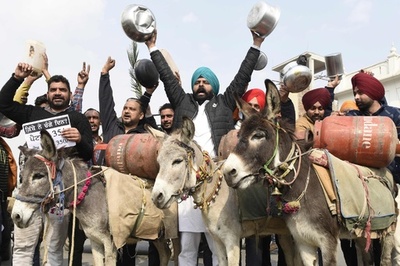 【今日の1枚】燃料費高騰は死活問題、家畜も抗議