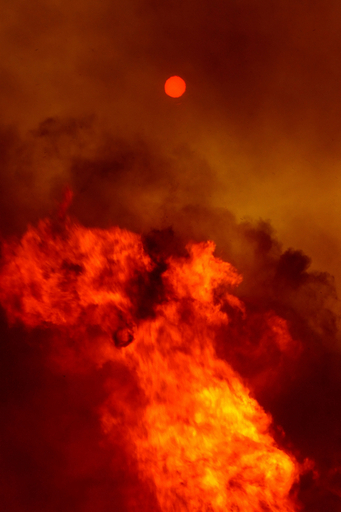 ギリシャの山火事、放火容疑者をテロ容疑でも捜査開始