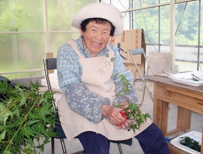 「葉」をビジネスに、よみがえった山間部の町