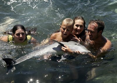 迷子の赤ちゃんイルカ、仲間に救出される