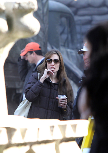 A・ジョリー、初監督作の撮影許可取り消しに抵抗 当局に脚本提出