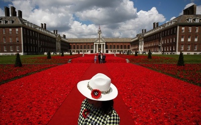 チェルシー・フラワー・ショーに一面の赤いポピー、実は編み物