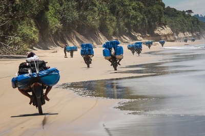 【今日の1枚】へき地輸送にオートバイや牛が大活躍 インドネシア大統領選