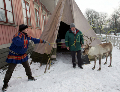 伝統のトナカイ放牧に「粋」な司法判断、スウェーデン
