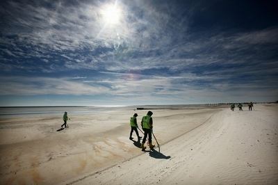 メキシコ湾原油流出事故の影響か、赤ちゃんイルカの死亡数が例年の10倍