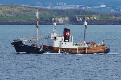 アイスランドの捕鯨業者、今年もクジラ漁断念 日本との競争も一因